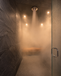 ThermaSol ProSeries 10kW Steam Generator